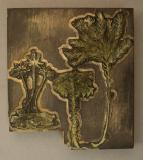 Click for more details.